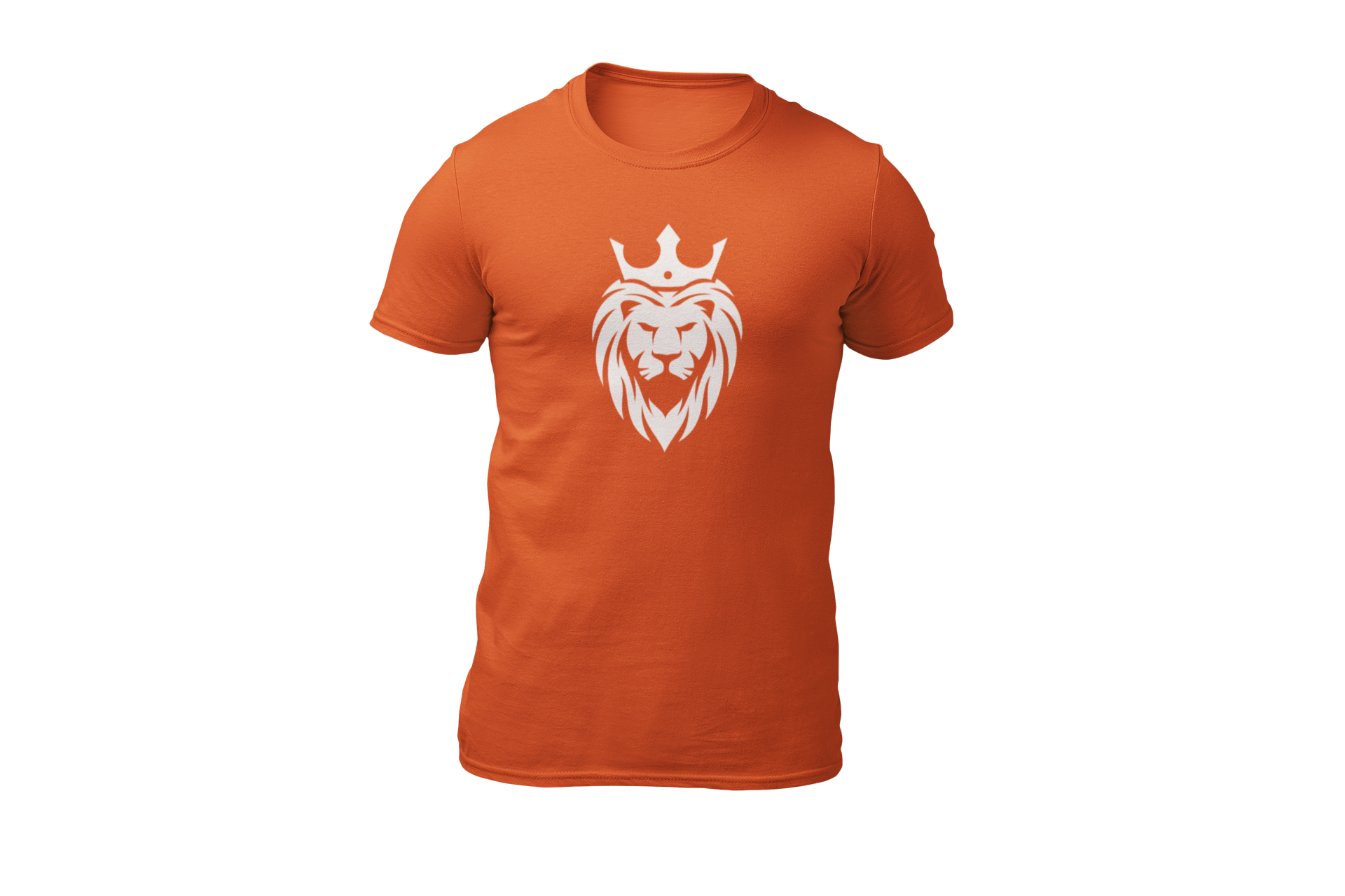 Oranje voetbal shirt nederland leeuw koning donnie