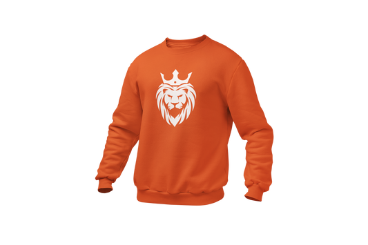 Oranje voetbal sweater nederland leeuwen koning donnie